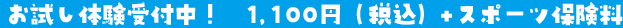お試し体験 1,000円(税抜)受付中！